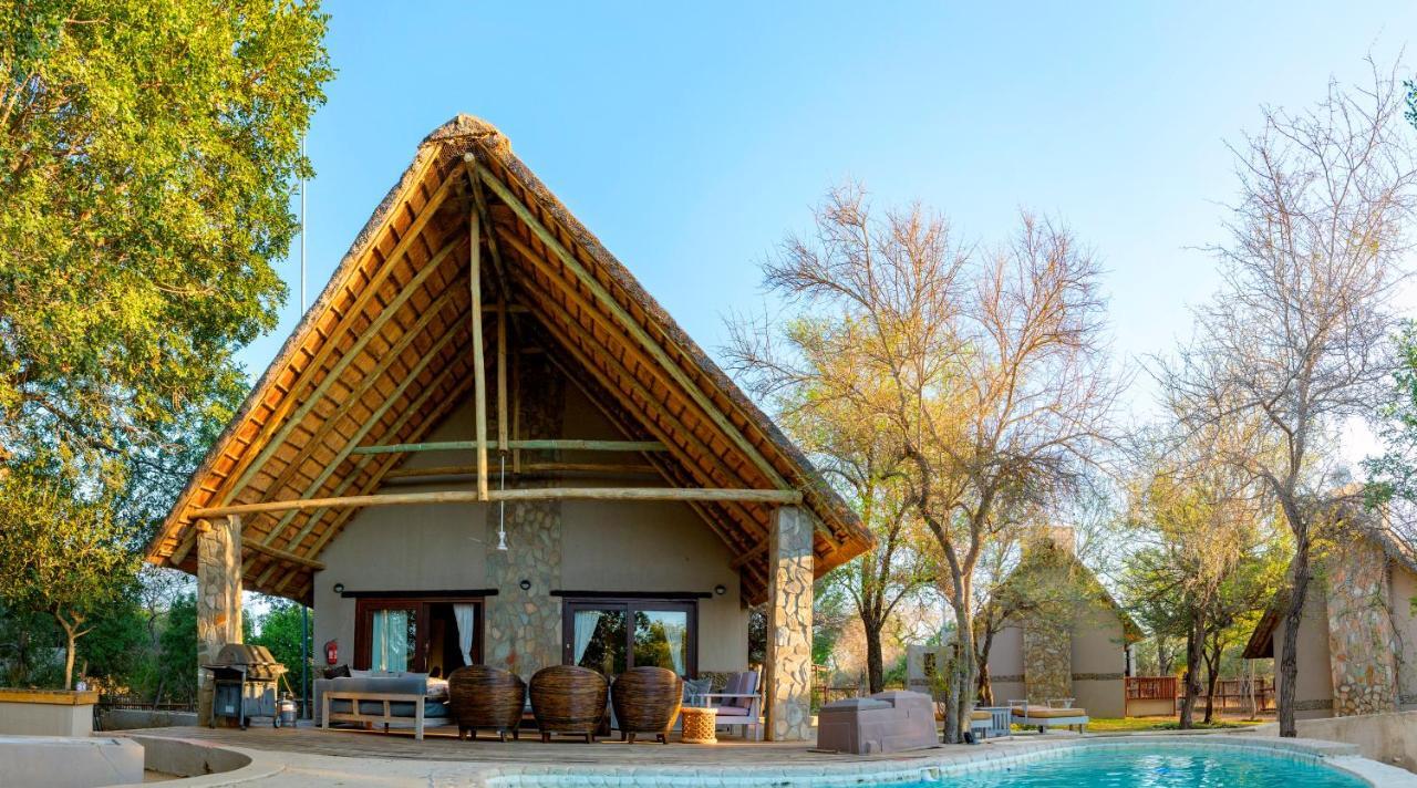 Leopard'S Lair Bush Lodge Hoedspruit Ngoại thất bức ảnh